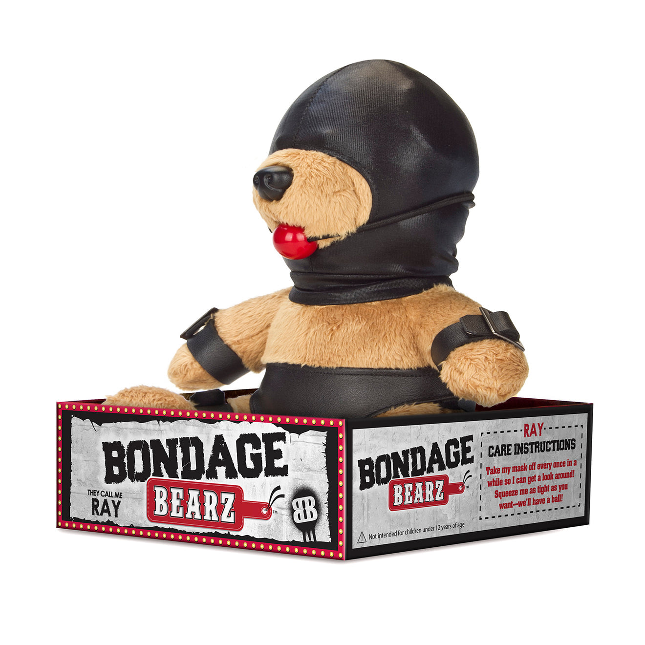BDSM Teddy Bear (Medium)